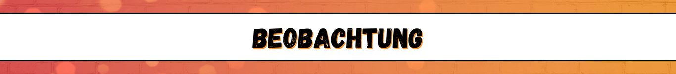 Banner für die Überschrift: Beobachtung